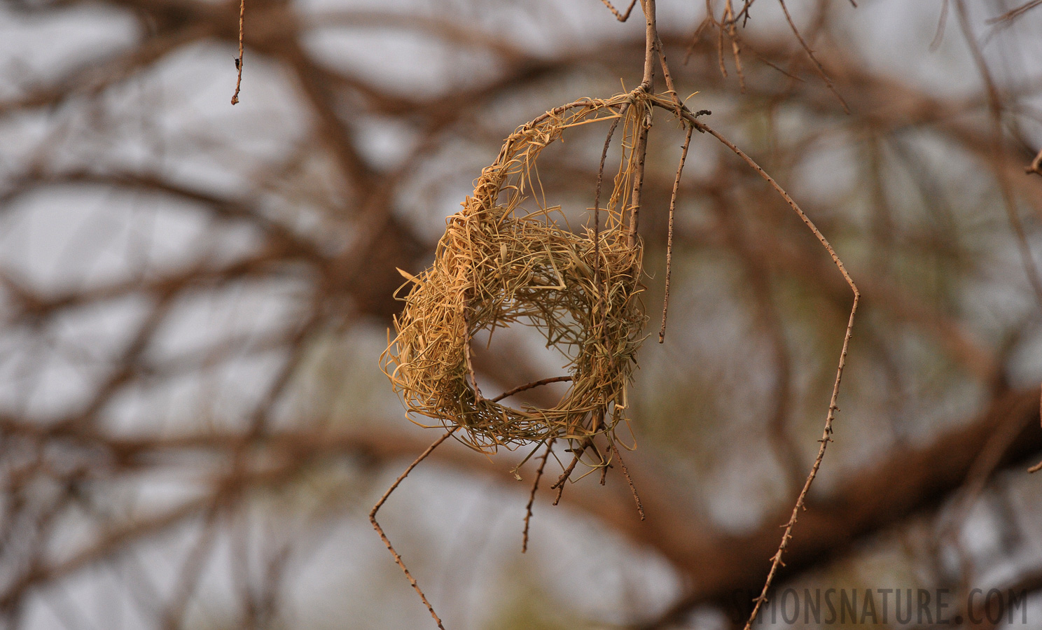 [400 mm, 1/500 sec at f / 6.3, ISO 1600]